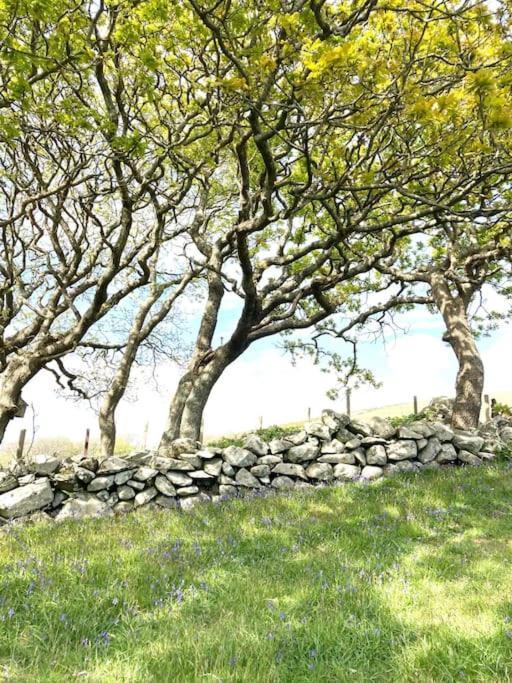 Cwt Y Bugail Otel Barmouth Dış mekan fotoğraf